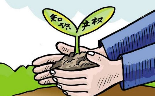 商專知識產(chǎn)權(quán)